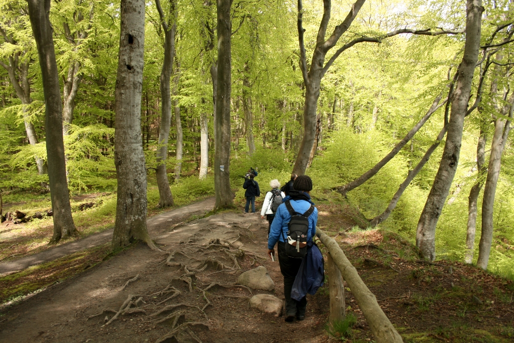 VWG vogelreis Oost Duitsland mei 2010 088